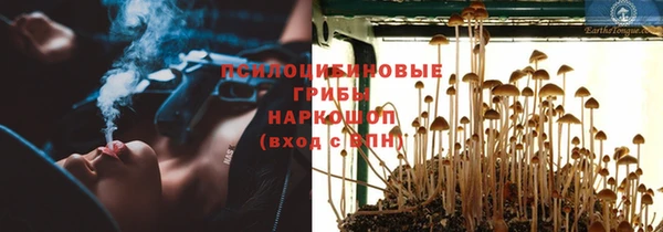 амф Зерноград