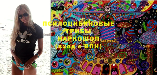 амф Зерноград